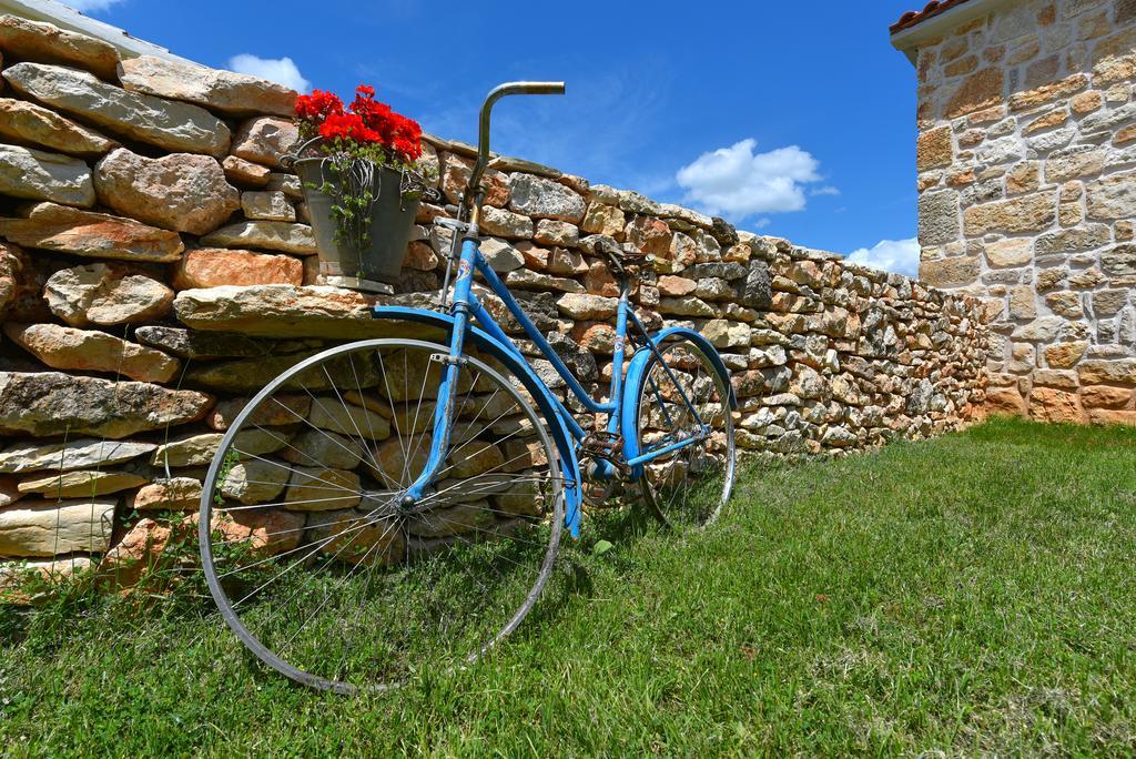 Вилла Rural House Kod Slapa Bogatic Экстерьер фото